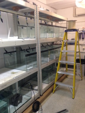 2015-11-03 16.53.50.jpg