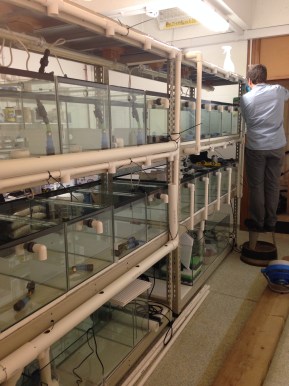 2015-10-28 19.40.32.jpg