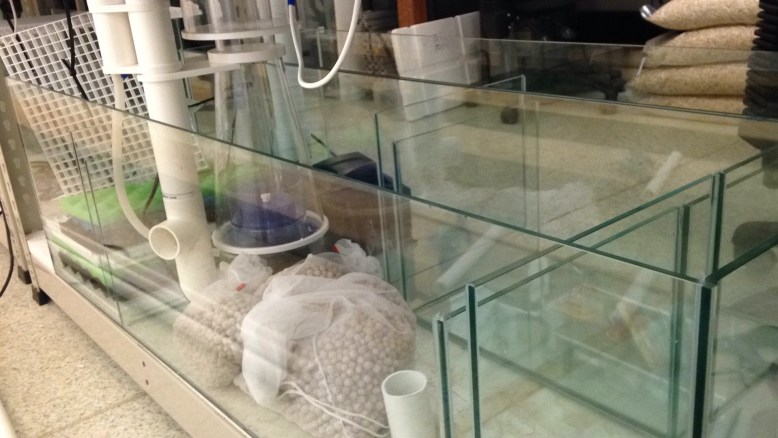 2015-10-28 20.48.10.jpg