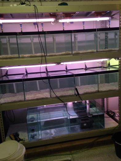 2015-11-11 14.38.46.jpg