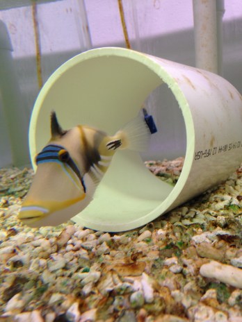 2015-12-10 10.23.08.jpg