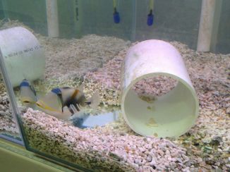 photo-01-10-2016-7-51-58-pm