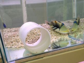 photo-01-10-2016-7-52-04-pm