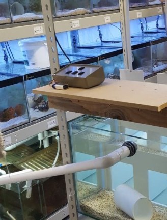 2017-09-11 15.28.37-4